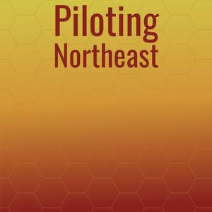 Piloting Northeast