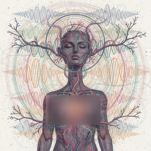 Frequencies Instinct