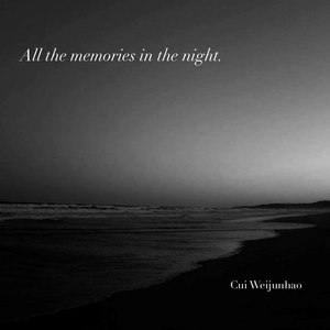 有关夜晚的所有记忆(All the memories in the night.)