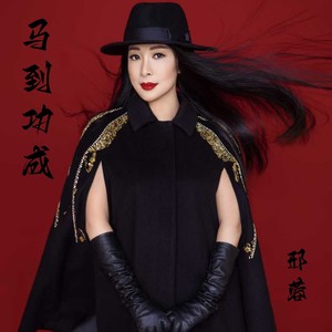 马到功成 (DJ版)