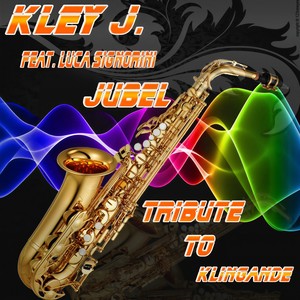 Jubel (House Style Remix Instrumental)