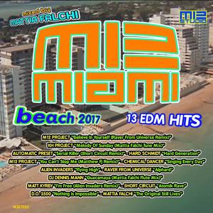 M12 Miami Beach 2017 (Mixed by Mattia Falchi)