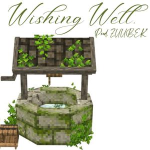 WISHING WELL (Explicit)