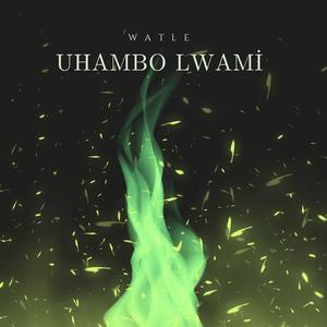 Impumelelo (feat. Phemelo The Vocalist & Switch MaB)