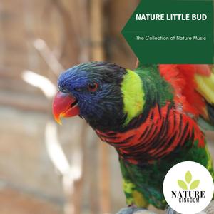 Nature Little Bud - The Collection of Nature Music