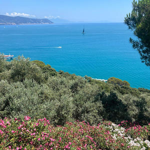 SENTIMENTAL (Explicit)