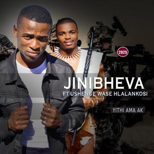 Van Dam ubabambile (feat. Nkoonzy Kb)