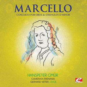 Concerto for Oboe and Strings in D Minor: I. Andante spiccatto