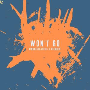 Wont Go (Explicit)