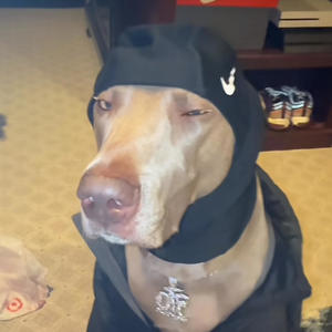 øh lørd (feat. Cor519) (Explicit)