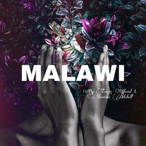 Malawi (feat. Sherrika Mitchell) [Radio Edit]