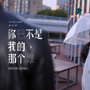 你已不是我的那个谁