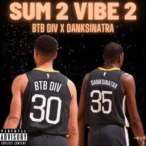 Sum To Vibe 2 (feat. DankSinatra) [Explicit]