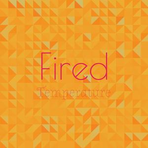 Fired Temperature