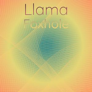 Llama Foxhole