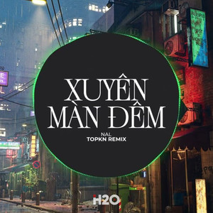 Xuyên Màn Đêm (EDM Remix)