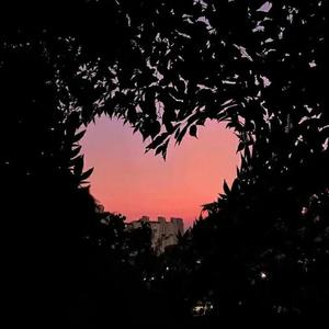 生活很苦要多吃糖