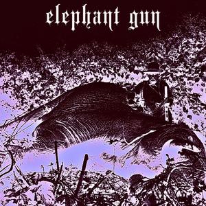 Elephant Gun* (Explicit)