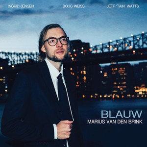 Marius van den Brink - Blauw