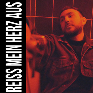 Reiß mein Herz aus (Remix)