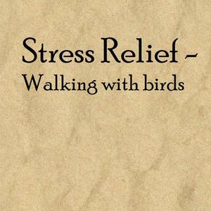 Stress Relief - Walking with Birds