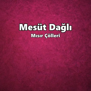 Mısır Çölleri