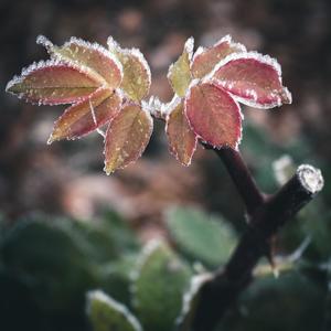 Reaction on Impulse II