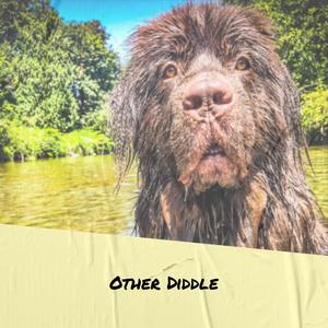 Other Diddle