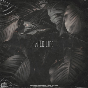 Wild Life (Explicit)