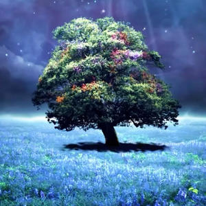 Beginning to the end (Explicit)