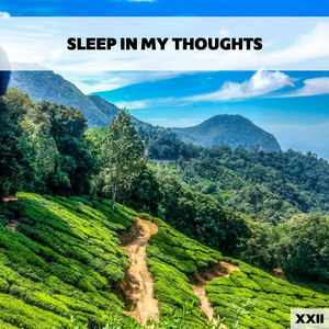 Sleep In My Thoughts XXII