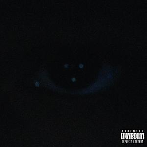 VISION P2 (Explicit)