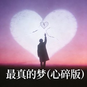 最真的梦-李林夕