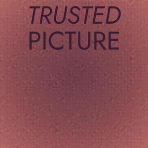 Trusted Picture