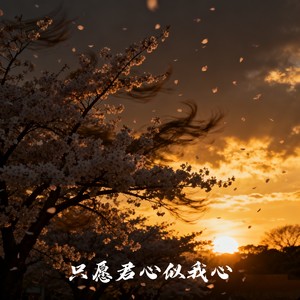 只愿君心似我心