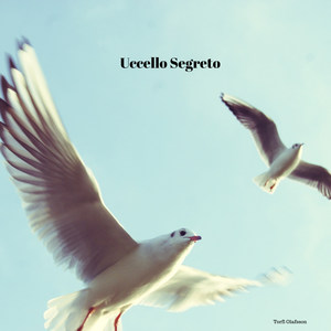 Uccello Segreto