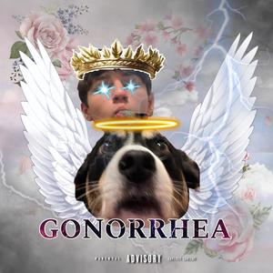 gonorrhea (Explicit)