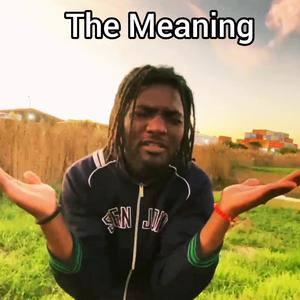 The Meaning