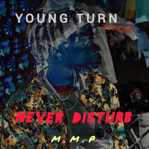 Never Disturb (Audio Music) (feat. Steinx) [Explicit]