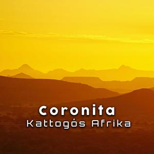 Kattogós Afrika