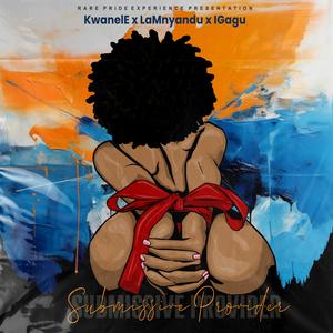 Submissive Provider (feat. LaMnyandu) (Explicit)