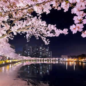 Japan (Explicit)