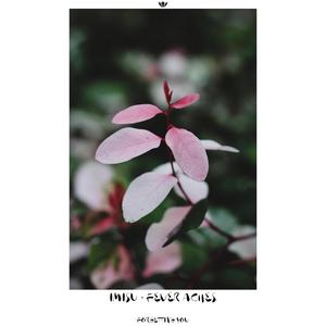 Forgetting You(feat. Fever Aches)