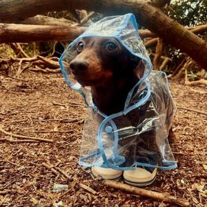 sober (oxykotin) (Explicit)