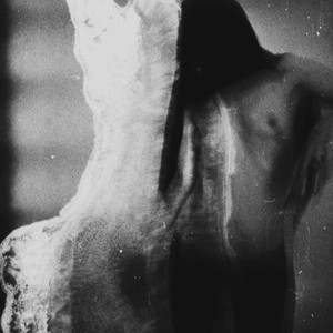 SELF DESTRUCT