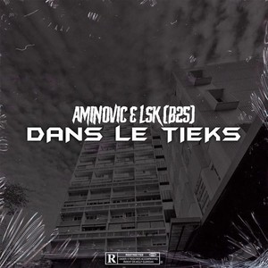 Dans le tieks (feat. Aminoviic) [Explicit]