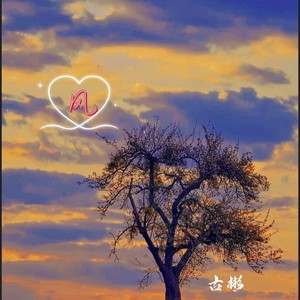 当爱像一阵风吹来