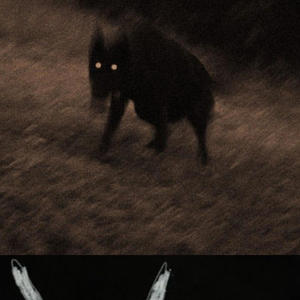 **** Dogs (Explicit)