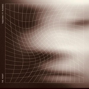 The Night (feat. RushDee) (Remix)