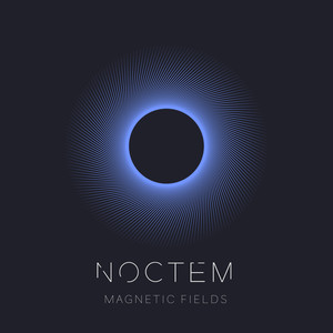 Magnetic Fields